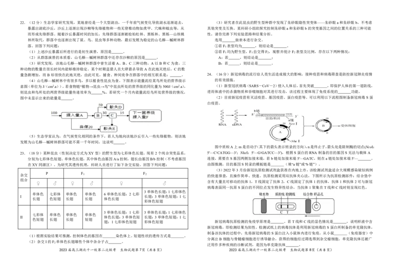 2023届高三十一校第二次联考生物学_2024年2月_01每日更新_16号_2023届高三湖北十一校第二次联考全科_2023届高三湖北十一校第二次联考生物