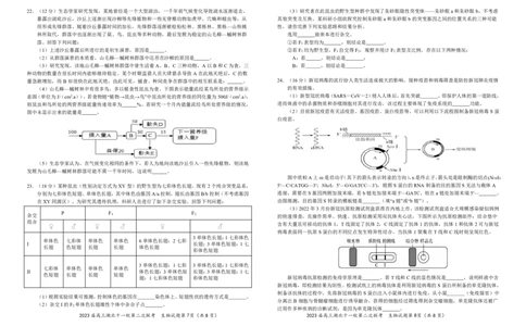 2023届高三十一校第二次联考生物学_2024年2月_01每日更新_16号_2023届高三湖北十一校第二次联考全科_2023届高三湖北十一校第二次联考生物