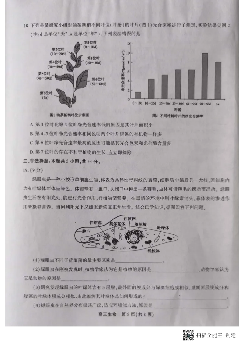 高三生物_2023年10月_01每日更新_7号_2024届安徽省鼎尖教育高三上学期第一届百校大联考_安徽省鼎尖教育高三上学期2024届第一届百校大联考生物