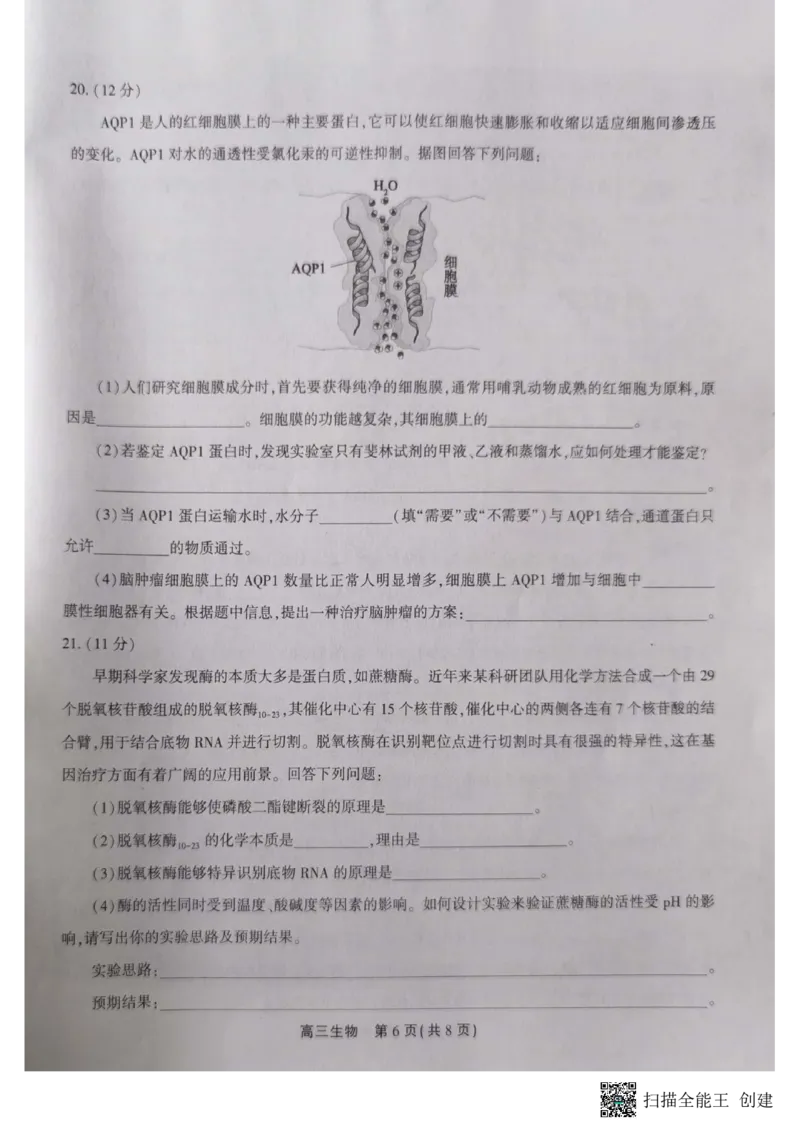 高三生物_2023年10月_01每日更新_7号_2024届安徽省鼎尖教育高三上学期第一届百校大联考_安徽省鼎尖教育高三上学期2024届第一届百校大联考生物