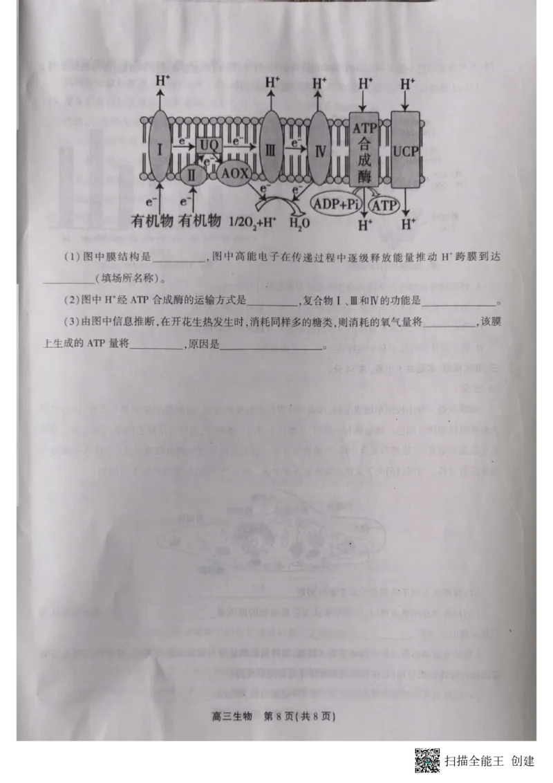 高三生物_2023年10月_01每日更新_7号_2024届安徽省鼎尖教育高三上学期第一届百校大联考_安徽省鼎尖教育高三上学期2024届第一届百校大联考生物