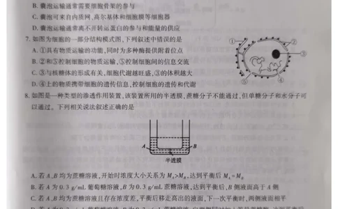 高三生物_2023年10月_01每日更新_7号_2024届安徽省鼎尖教育高三上学期第一届百校大联考_安徽省鼎尖教育高三上学期2024届第一届百校大联考生物