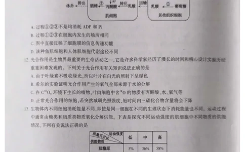 高三生物_2023年10月_01每日更新_7号_2024届安徽省鼎尖教育高三上学期第一届百校大联考_安徽省鼎尖教育高三上学期2024届第一届百校大联考生物