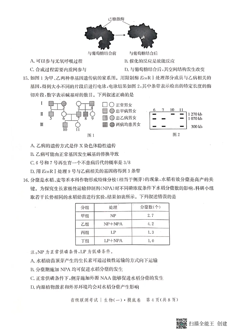 河北省2023-2024学年高三上学期开学省级联测考试生物(1)_2023年8月_028月合集_2024届河北省高三上学期省级联测考试