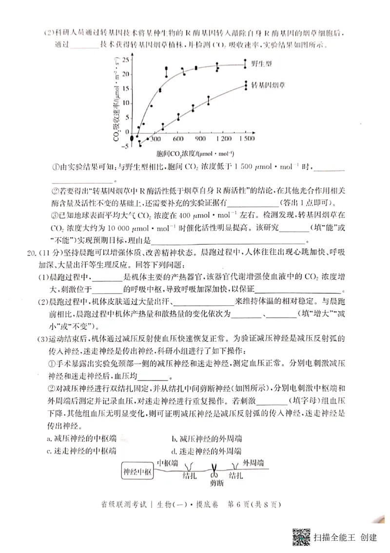 河北省2023-2024学年高三上学期开学省级联测考试生物(1)_2023年8月_028月合集_2024届河北省高三上学期省级联测考试