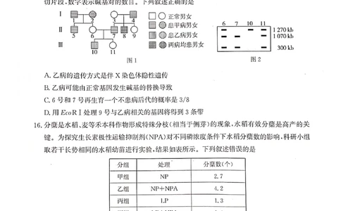 河北省2023-2024学年高三上学期开学省级联测考试生物(1)_2023年8月_028月合集_2024届河北省高三上学期省级联测考试