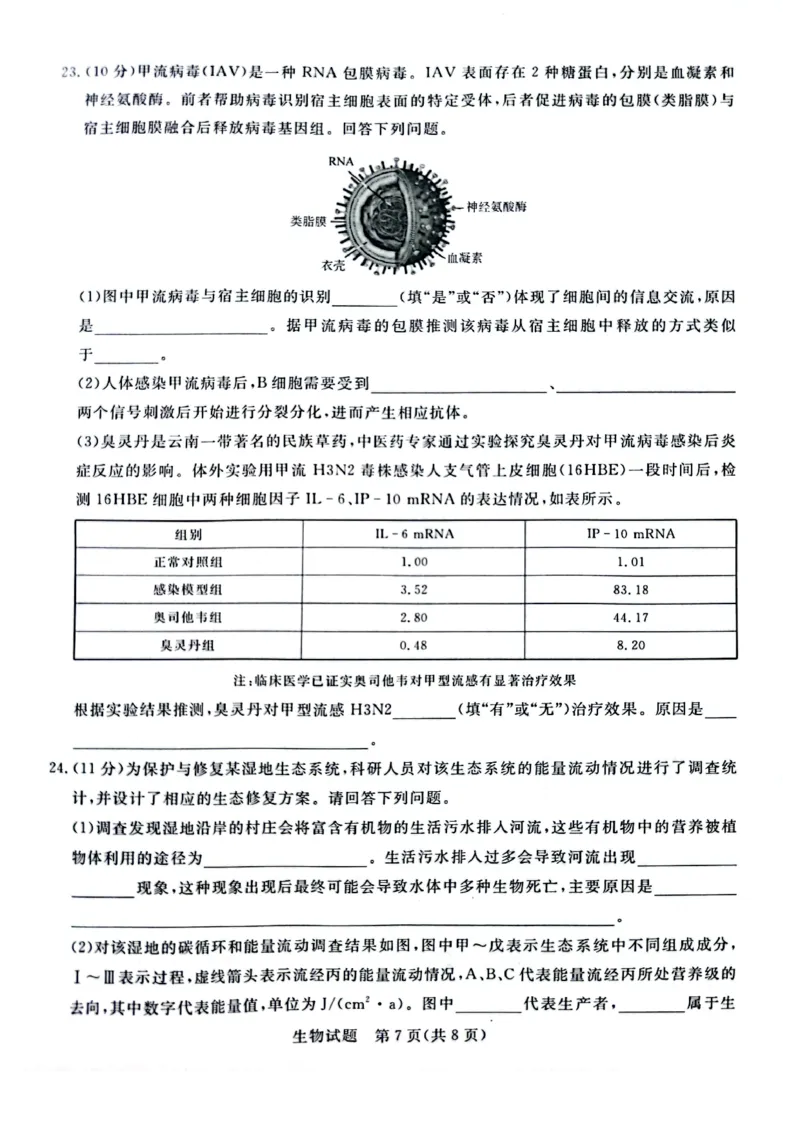 河南省青桐鸣2023-2024学年高三上学期9月月考生物(1)_2023年9月_029月合集_2024届河南省青桐鸣高三上学期9月月考