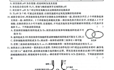 河南省青桐鸣2023-2024学年高三上学期9月月考生物(1)_2023年9月_029月合集_2024届河南省青桐鸣高三上学期9月月考