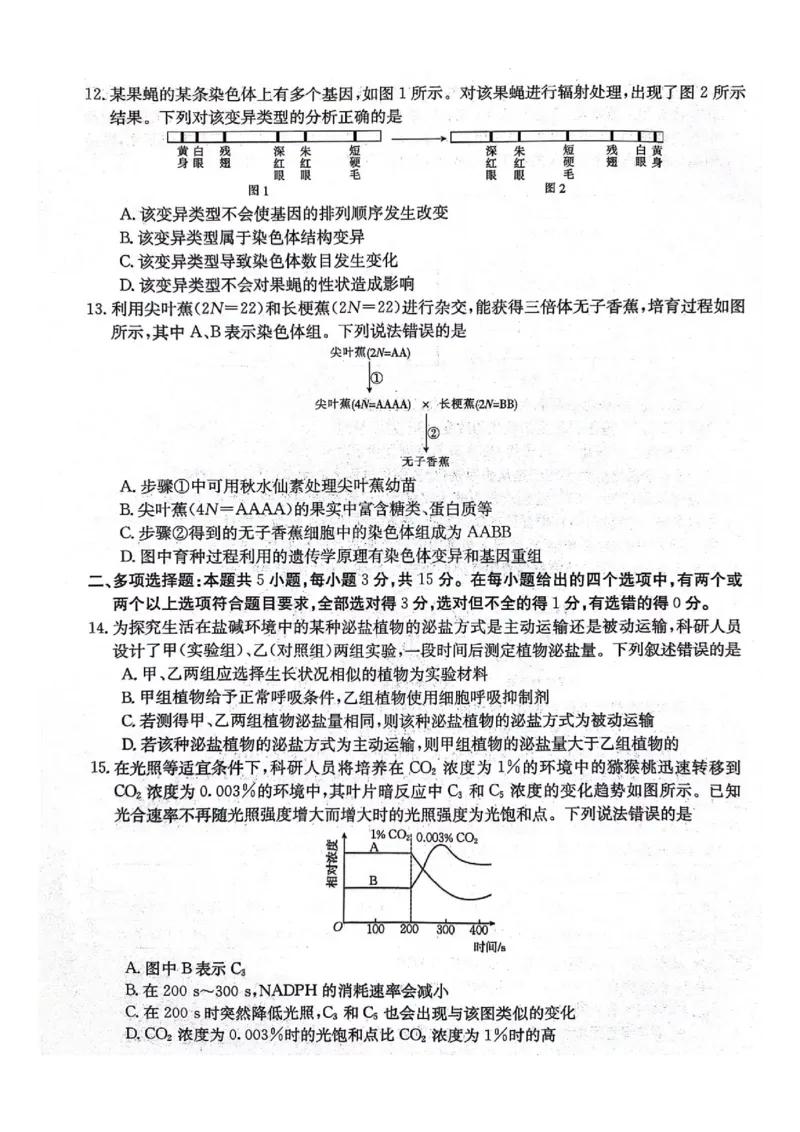 河北省邢台市五岳联盟2023-2024学年高三上学期第四次月考生物(1)_2023年10月_0210月合集_2024届河北省邢台市五岳联盟高三上学期第四次月考金太阳（24-91C）