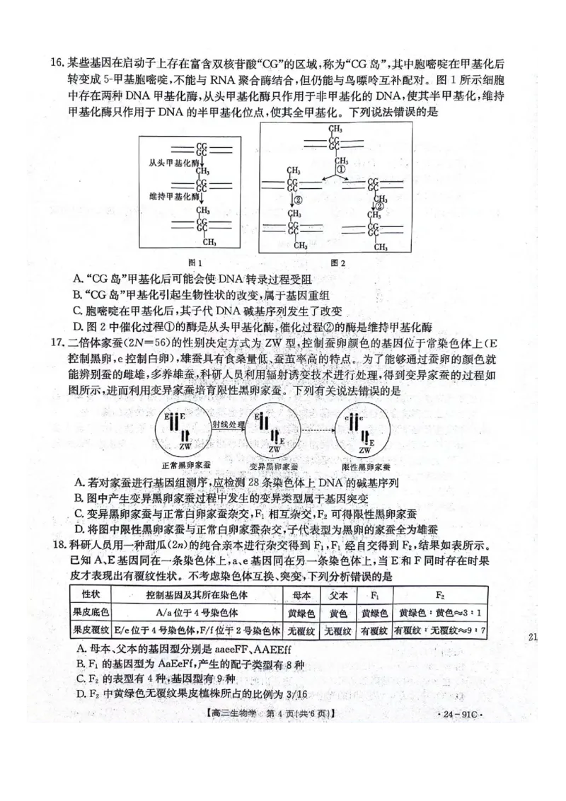 河北省邢台市五岳联盟2023-2024学年高三上学期第四次月考生物(1)_2023年10月_0210月合集_2024届河北省邢台市五岳联盟高三上学期第四次月考金太阳（24-91C）