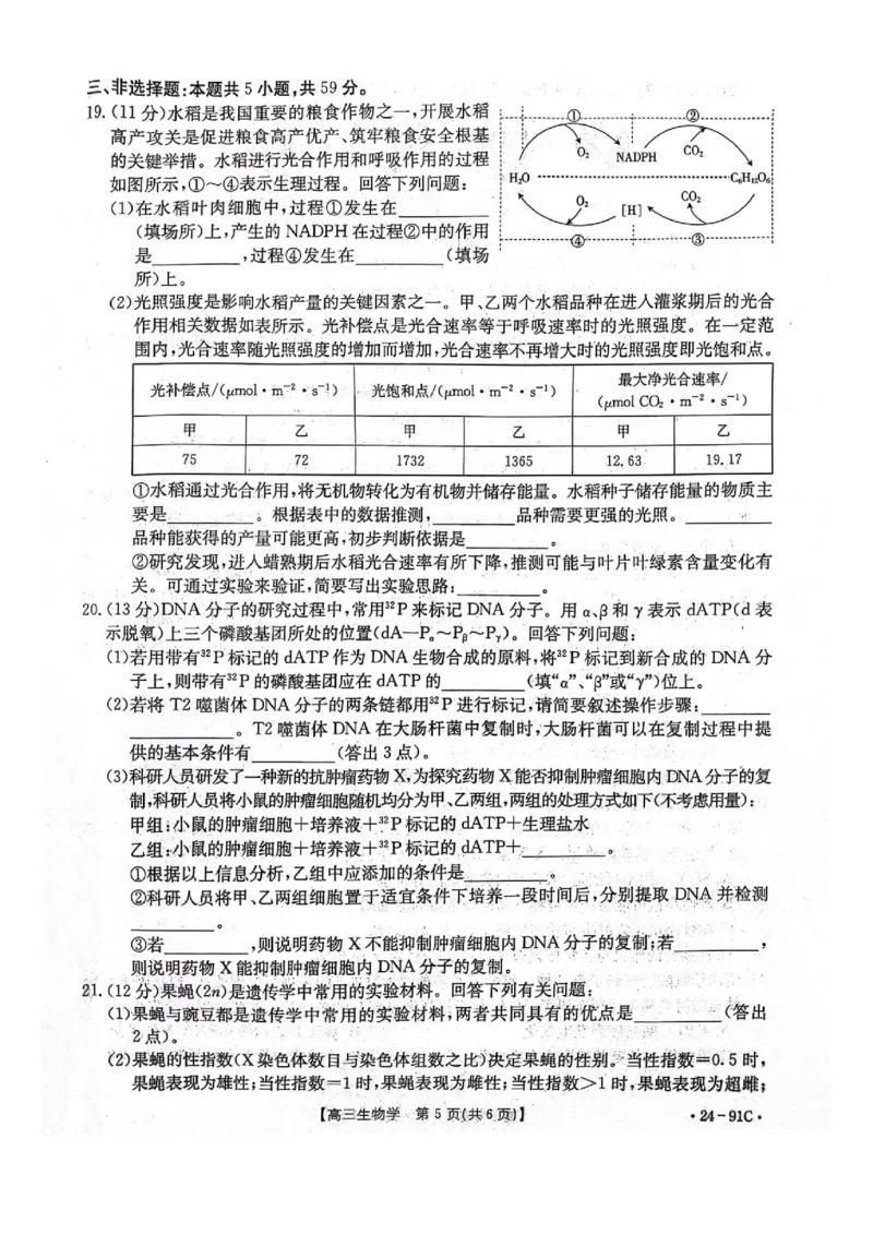 河北省邢台市五岳联盟2023-2024学年高三上学期第四次月考生物(1)_2023年10月_0210月合集_2024届河北省邢台市五岳联盟高三上学期第四次月考金太阳（24-91C）