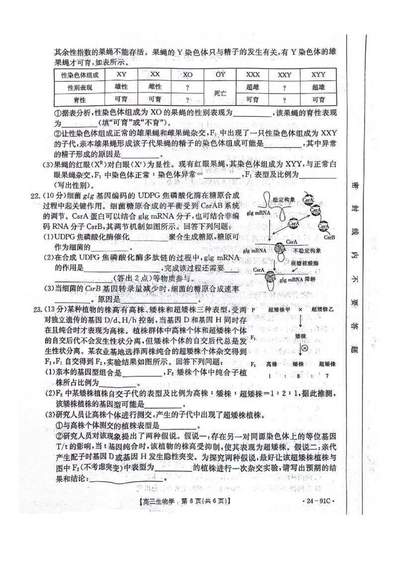 河北省邢台市五岳联盟2023-2024学年高三上学期第四次月考生物(1)_2023年10月_0210月合集_2024届河北省邢台市五岳联盟高三上学期第四次月考金太阳（24-91C）
