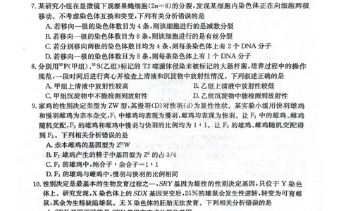 河北省邢台市五岳联盟2023-2024学年高三上学期第四次月考生物(1)_2023年10月_0210月合集_2024届河北省邢台市五岳联盟高三上学期第四次月考金太阳（24-91C）