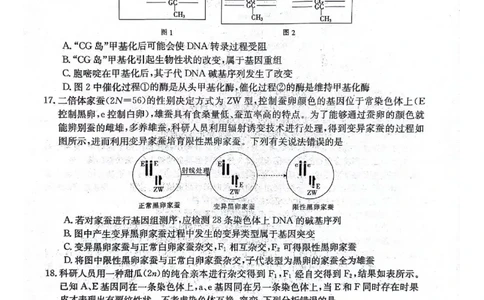 河北省邢台市五岳联盟2023-2024学年高三上学期第四次月考生物(1)_2023年10月_0210月合集_2024届河北省邢台市五岳联盟高三上学期第四次月考金太阳（24-91C）