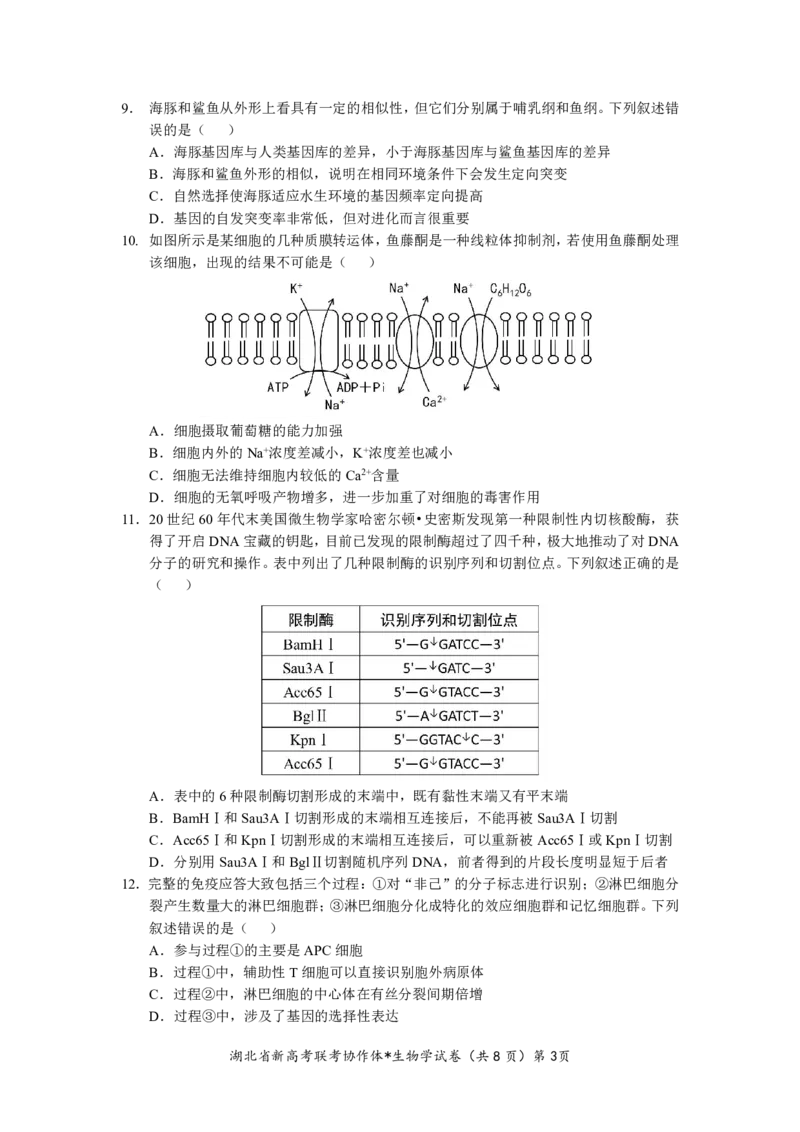 湖北省2023-2024学年新高考联考协作体高三9月起点考试生物试题PDF版无答案（可编辑）_2023年9月_01每日更新_10号_2024届湖北省新高考联考协作体高三9月起点考试