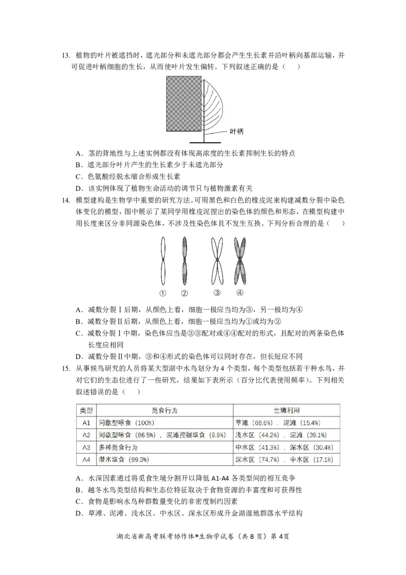 湖北省2023-2024学年新高考联考协作体高三9月起点考试生物试题PDF版无答案（可编辑）_2023年9月_01每日更新_10号_2024届湖北省新高考联考协作体高三9月起点考试