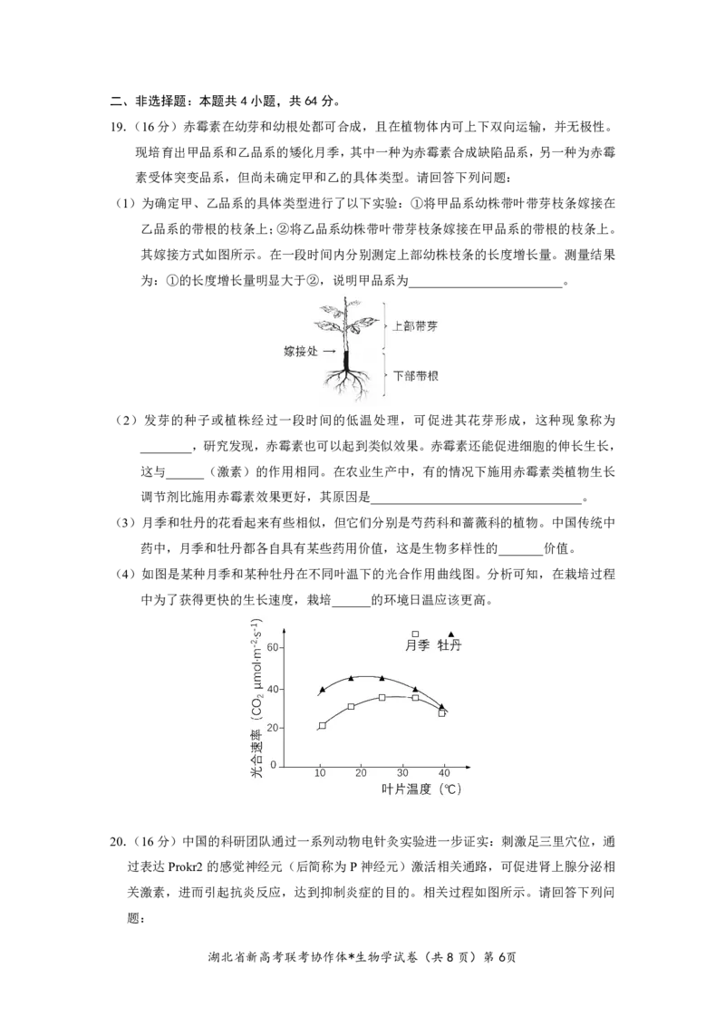 湖北省2023-2024学年新高考联考协作体高三9月起点考试生物试题PDF版无答案（可编辑）_2023年9月_01每日更新_10号_2024届湖北省新高考联考协作体高三9月起点考试