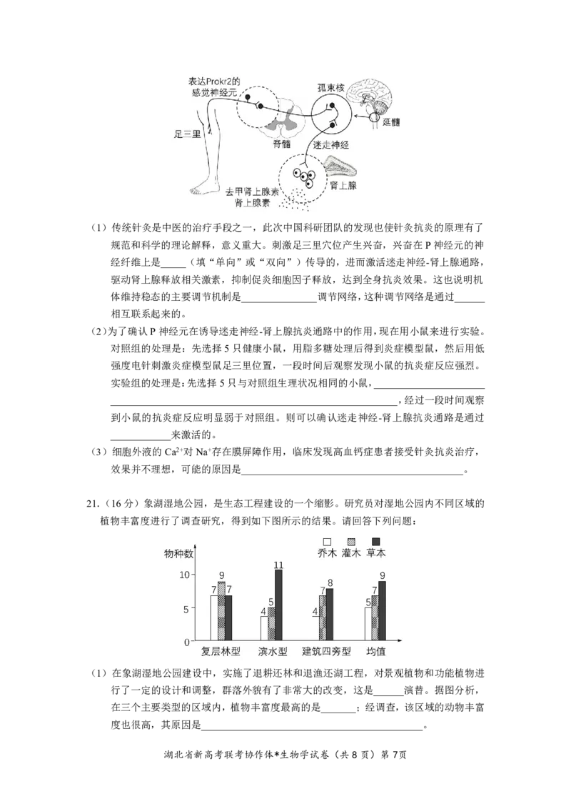湖北省2023-2024学年新高考联考协作体高三9月起点考试生物试题PDF版无答案（可编辑）_2023年9月_01每日更新_10号_2024届湖北省新高考联考协作体高三9月起点考试