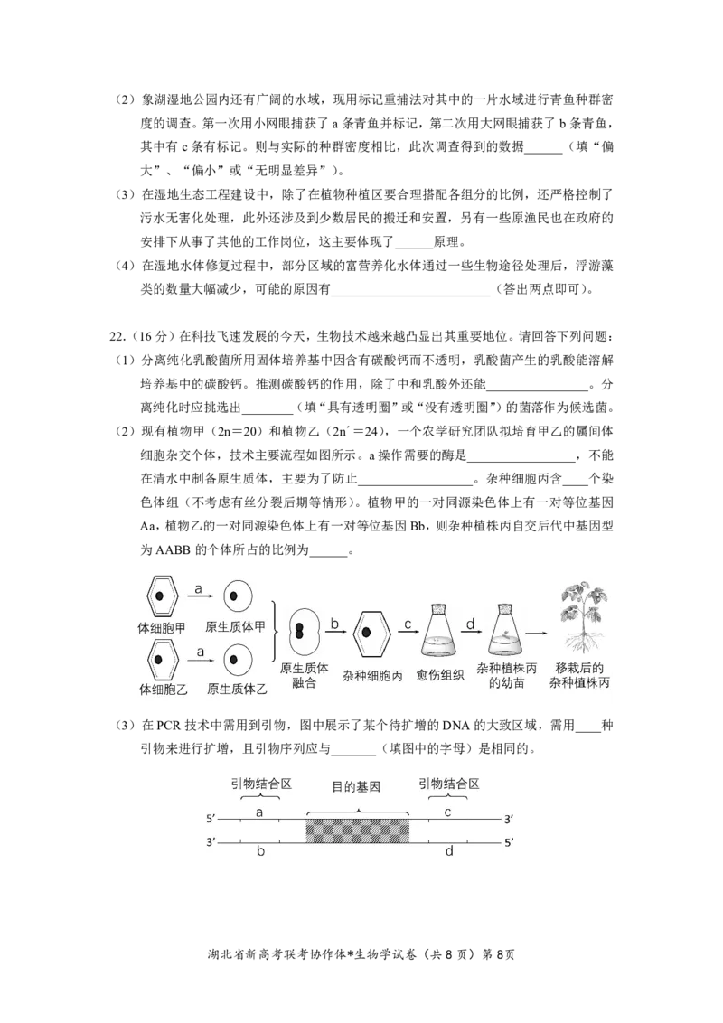 湖北省2023-2024学年新高考联考协作体高三9月起点考试生物试题PDF版无答案（可编辑）_2023年9月_01每日更新_10号_2024届湖北省新高考联考协作体高三9月起点考试