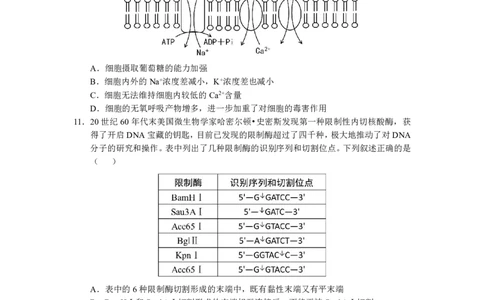 湖北省2023-2024学年新高考联考协作体高三9月起点考试生物试题PDF版无答案（可编辑）_2023年9月_01每日更新_10号_2024届湖北省新高考联考协作体高三9月起点考试