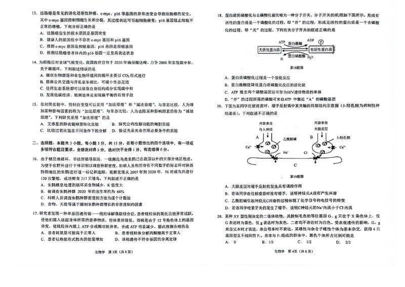 辽宁鞍山高三上（质检Ⅰ）-生物试题+答案(1)_2023年9月_029月合集_2024届辽宁省鞍山市高三上学期第一次质量监测