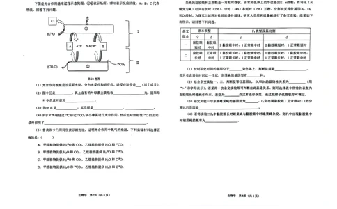 辽宁鞍山高三上（质检Ⅰ）-生物试题+答案(1)_2023年9月_029月合集_2024届辽宁省鞍山市高三上学期第一次质量监测
