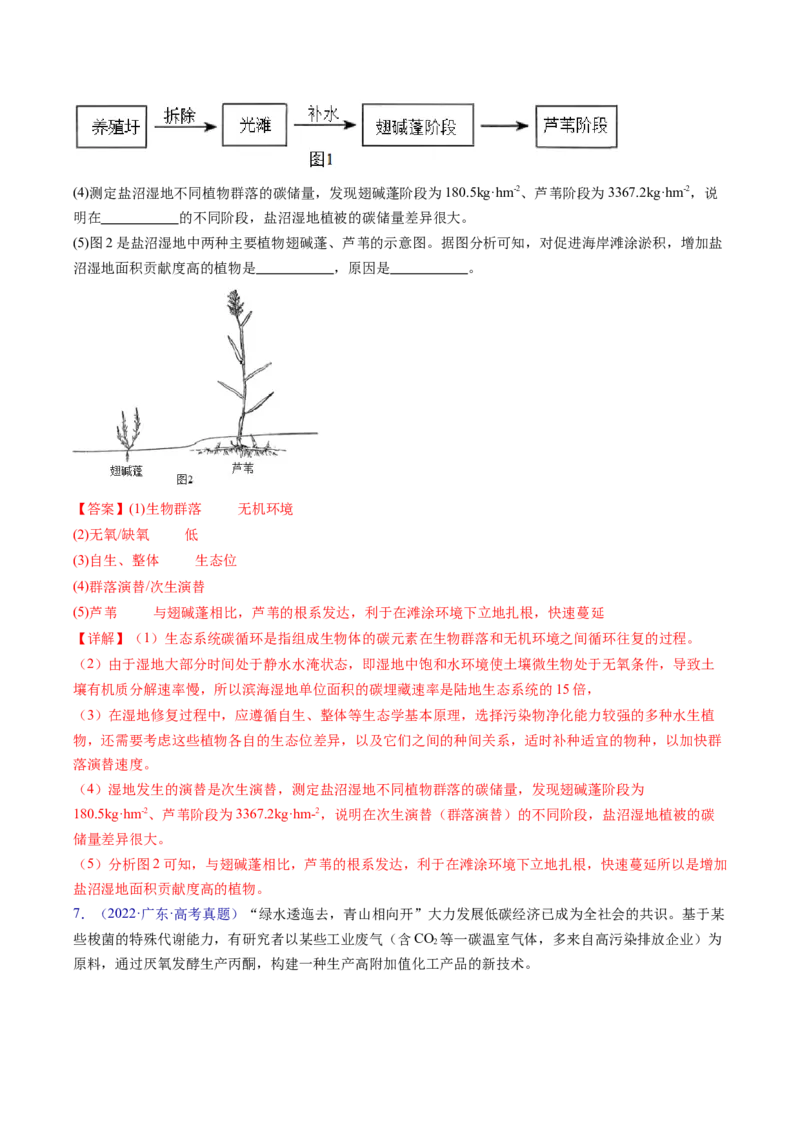 专题18生态系统-五年（2019-2023）高考生物真题分项汇编（全国通用）（解析版）_赠送：2008-2024全套高考真题_高考生物真题_送高考生物五年真题(2019-2023)分项汇编（全国通用）