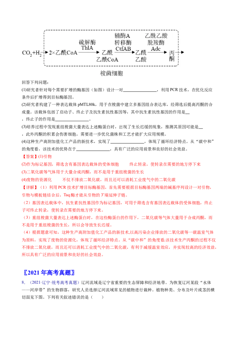 专题18生态系统-五年（2019-2023）高考生物真题分项汇编（全国通用）（解析版）_赠送：2008-2024全套高考真题_高考生物真题_送高考生物五年真题(2019-2023)分项汇编（全国通用）