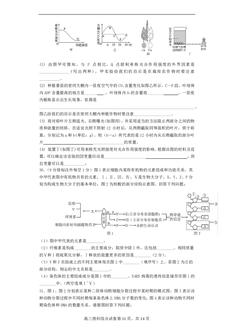 高2021级高三理综试题(1)_2023年10月_0210月合集_2024届四川省成都市列五中学高三上学期10月月考_四川省成都市列五中学2024届高三上学期10月月考理综