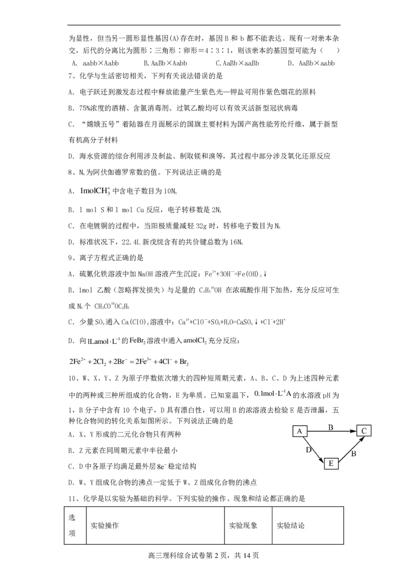 高2021级高三理综试题(1)_2023年10月_0210月合集_2024届四川省成都市列五中学高三上学期10月月考_四川省成都市列五中学2024届高三上学期10月月考理综