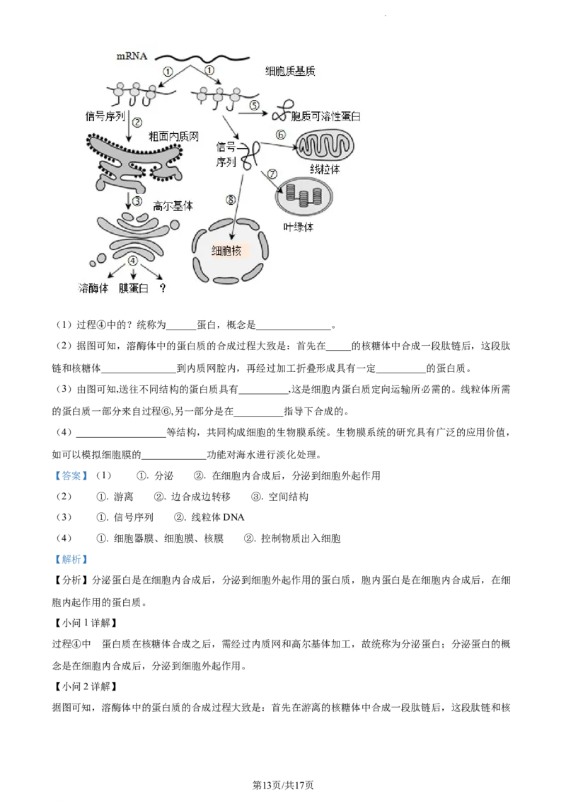 精品解析：福建省龙岩市一中2023-2024学年高三上学期第一次月考生物试题（解析版）(1)_2023年10月_0210月合集_2024届福建省龙岩第一中学高三上学期第一次月考