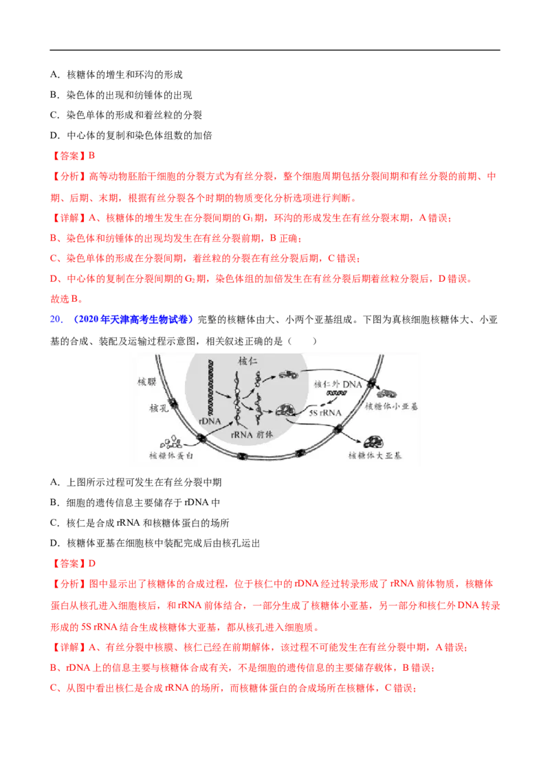 专题06有丝分裂和减数分裂-五年（2019-2023）高考生物真题分项汇编（全国通用）（解析版）_赠送：2008-2024全套高考真题_高考生物真题