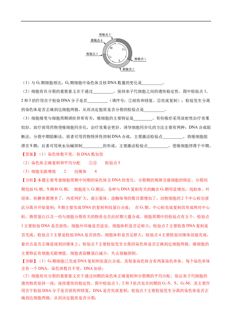 专题06有丝分裂和减数分裂-五年（2019-2023）高考生物真题分项汇编（全国通用）（解析版）_赠送：2008-2024全套高考真题_高考生物真题