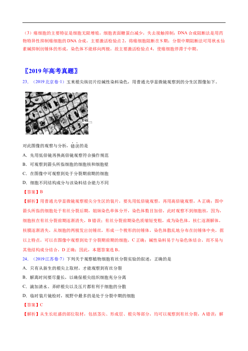 专题06有丝分裂和减数分裂-五年（2019-2023）高考生物真题分项汇编（全国通用）（解析版）_赠送：2008-2024全套高考真题_高考生物真题