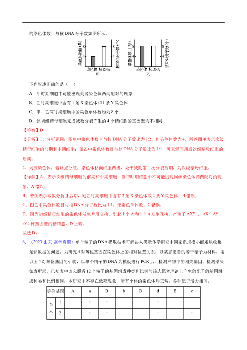 专题06有丝分裂和减数分裂-五年（2019-2023）高考生物真题分项汇编（全国通用）（解析版）_赠送：2008-2024全套高考真题_高考生物真题