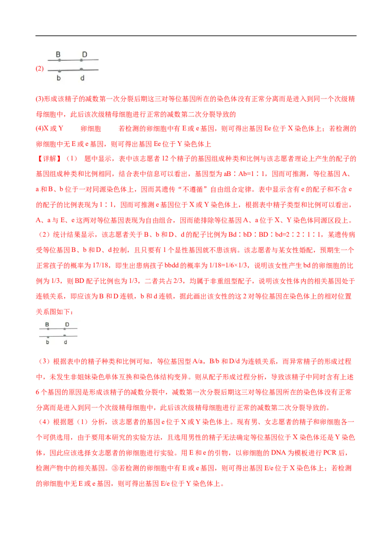 专题06有丝分裂和减数分裂-五年（2019-2023）高考生物真题分项汇编（全国通用）（解析版）_赠送：2008-2024全套高考真题_高考生物真题