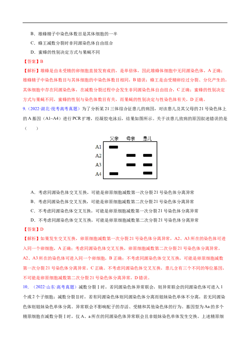 专题06有丝分裂和减数分裂-五年（2019-2023）高考生物真题分项汇编（全国通用）（解析版）_赠送：2008-2024全套高考真题_高考生物真题