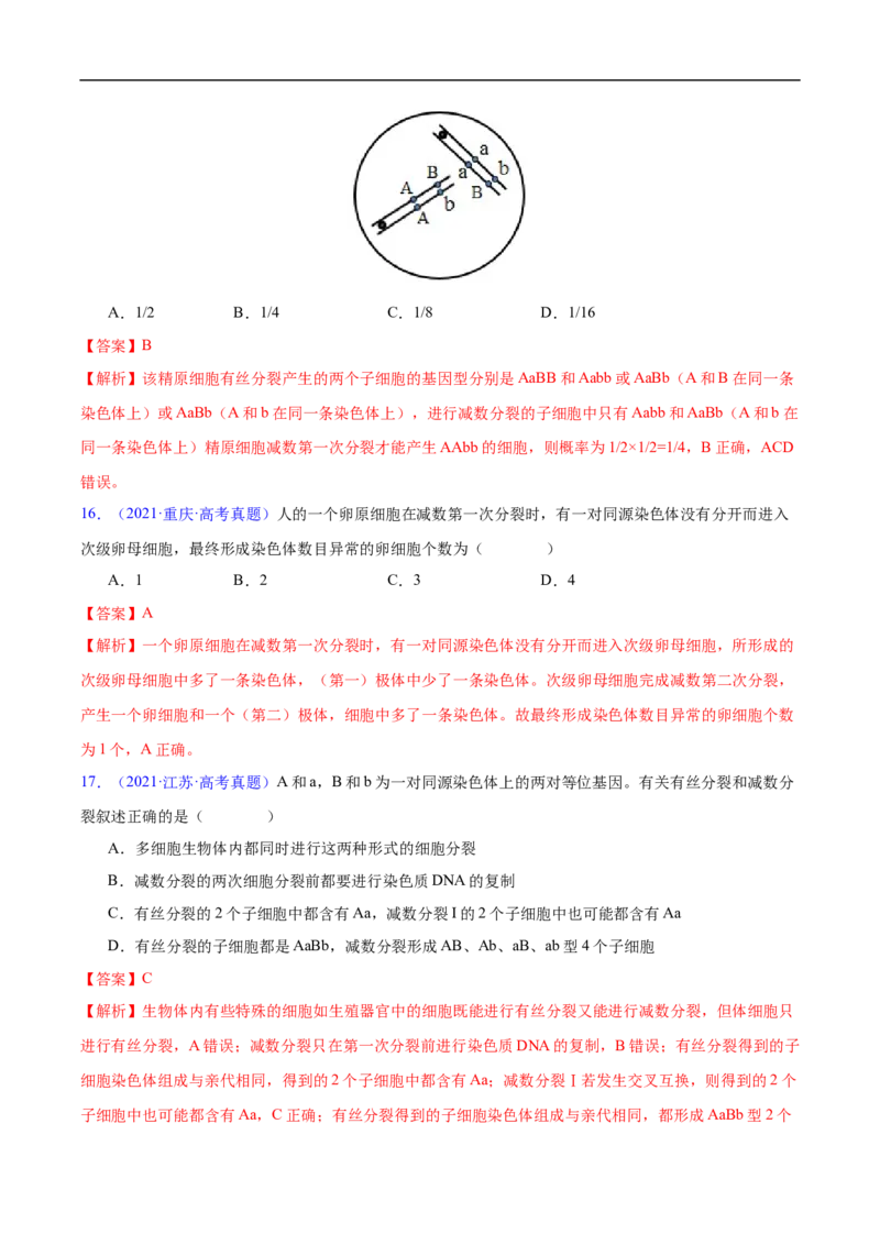 专题06有丝分裂和减数分裂-五年（2019-2023）高考生物真题分项汇编（全国通用）（解析版）_赠送：2008-2024全套高考真题_高考生物真题