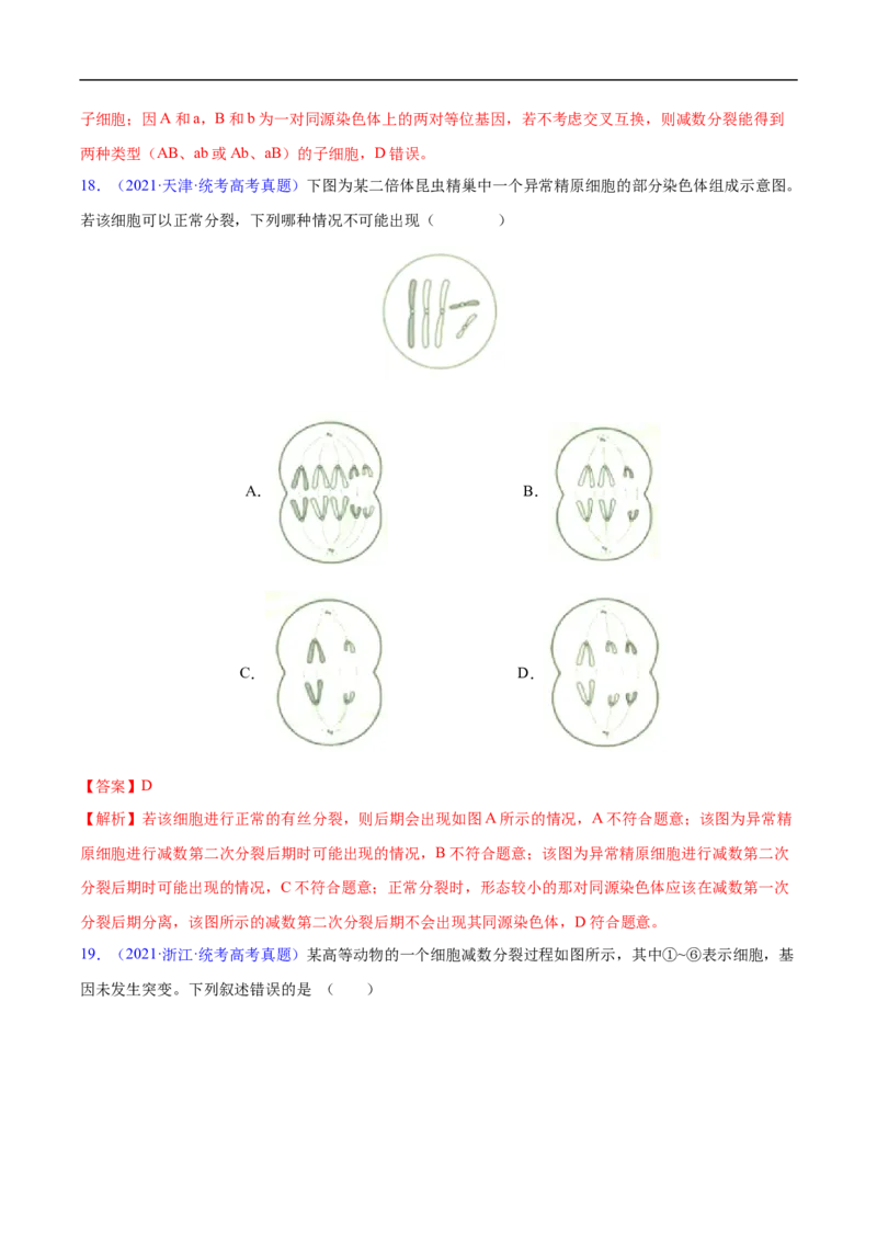 专题06有丝分裂和减数分裂-五年（2019-2023）高考生物真题分项汇编（全国通用）（解析版）_赠送：2008-2024全套高考真题_高考生物真题