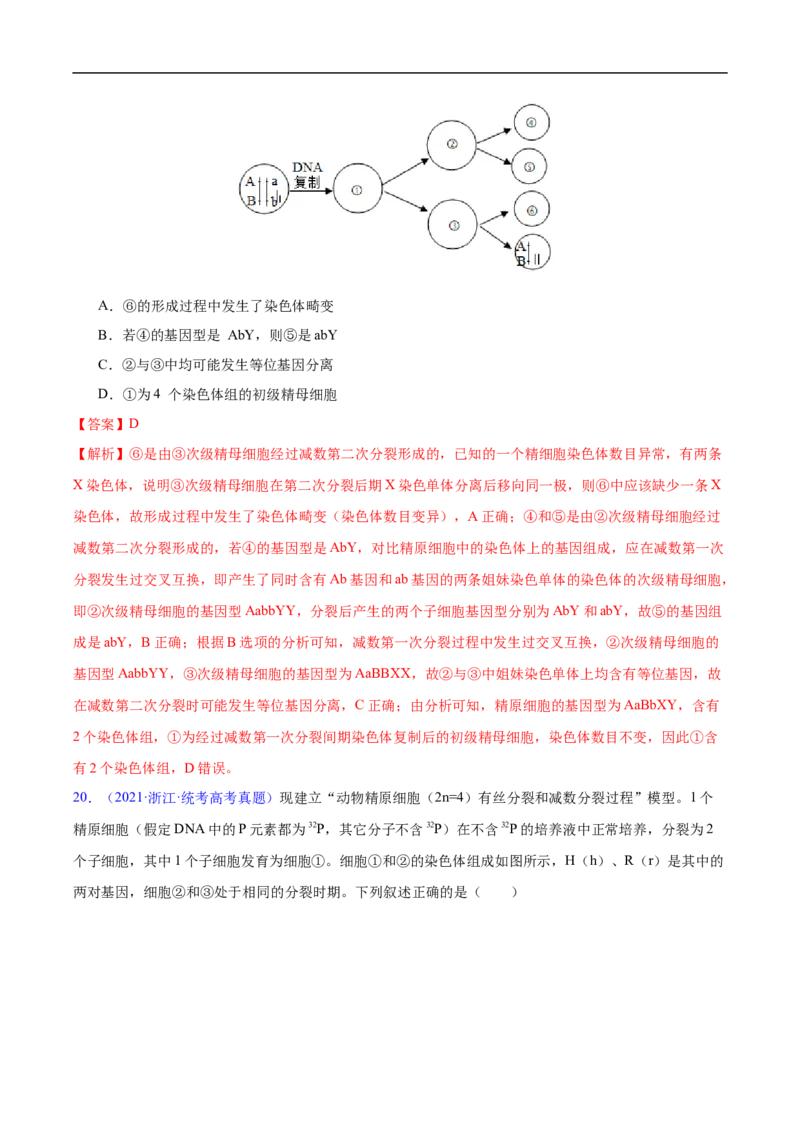 专题06有丝分裂和减数分裂-五年（2019-2023）高考生物真题分项汇编（全国通用）（解析版）_赠送：2008-2024全套高考真题_高考生物真题