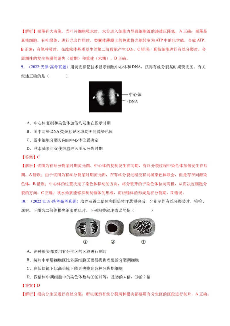 专题06有丝分裂和减数分裂-五年（2019-2023）高考生物真题分项汇编（全国通用）（解析版）_赠送：2008-2024全套高考真题_高考生物真题
