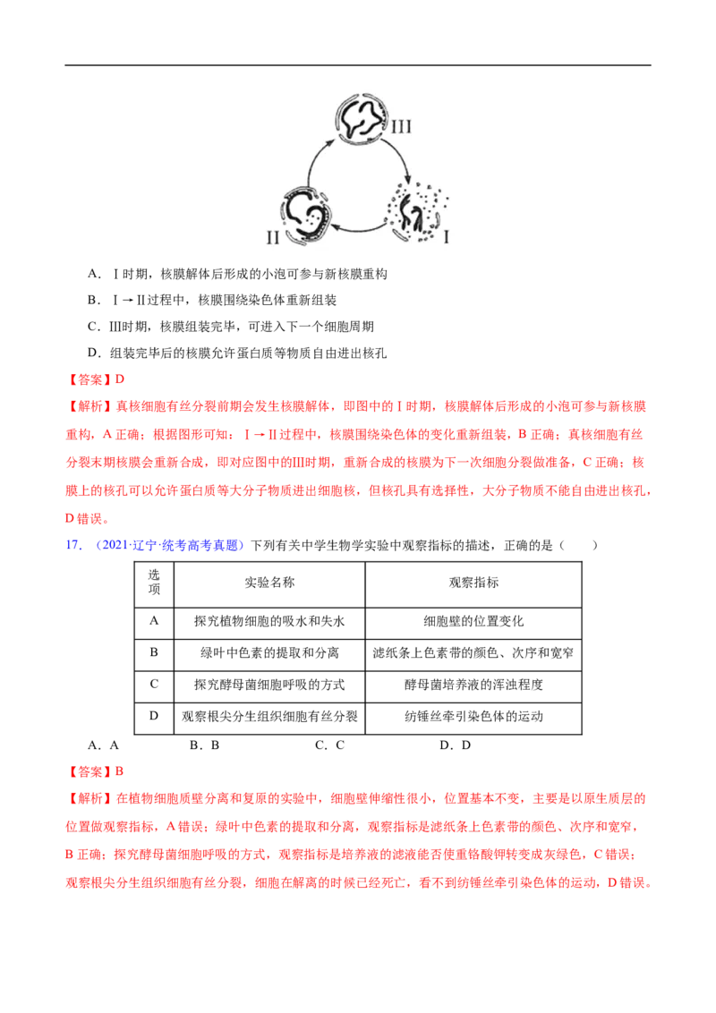 专题06有丝分裂和减数分裂-五年（2019-2023）高考生物真题分项汇编（全国通用）（解析版）_赠送：2008-2024全套高考真题_高考生物真题