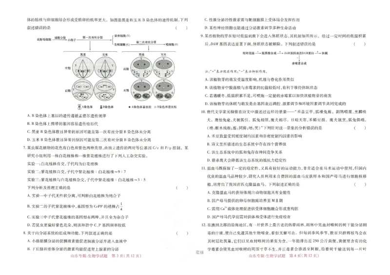 王后雄高考押题预测卷2024山东专版-生物_2024高考押题卷_22024王hou雄_（新高考）2024王后雄押题预测卷（分科版）_6.生物