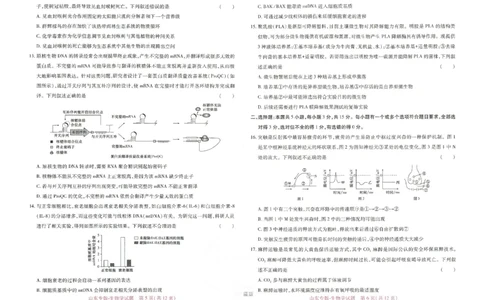 王后雄高考押题预测卷2024山东专版-生物_2024高考押题卷_22024王hou雄_（新高考）2024王后雄押题预测卷（分科版）_6.生物