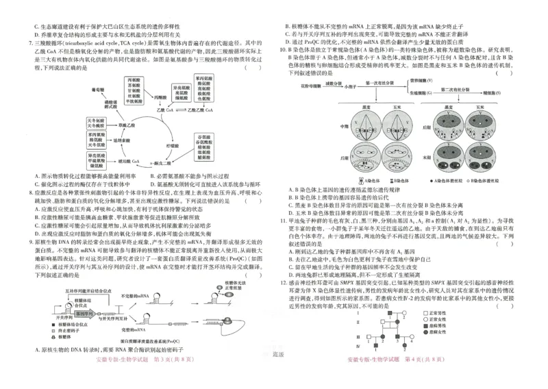 王后雄高考押题预测卷2024安徽专版-生物_2024高考押题卷_22024王hou雄_16王后雄押题_2024年王后雄高考押题预测卷（安徽专版）