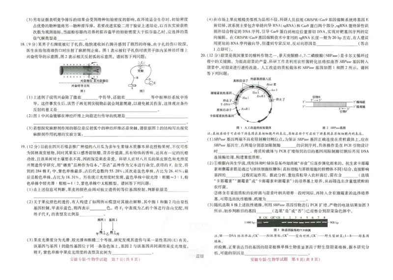 王后雄高考押题预测卷2024安徽专版-生物_2024高考押题卷_22024王hou雄_16王后雄押题_2024年王后雄高考押题预测卷（安徽专版）