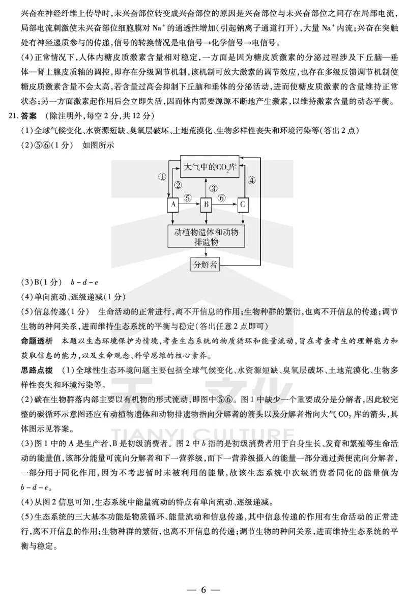 生物学皖豫联盟高三一联答案(1)_2023年10月_0210月合集_2024届安徽省天一皖豫名校联盟高三上学期第一次大联考_2024届安徽省天一皖豫名校联盟高三上学期第一次大联考生物