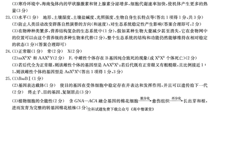 2023届辽宁省县级重点高中联合体高三（一模）丨生物答案_2024年2月_01每日更新_13号_2023届辽宁省县级重点高中联合体高三一模（金太阳23-321C）全科