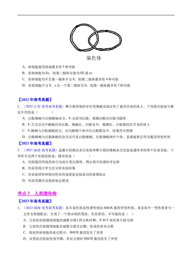 专题11伴性遗传和人类遗传病-五年（2019-2023）高考生物真题分项汇编（全国通用）（原卷版）_赠送：2008-2024全套高考真题_高考生物真题