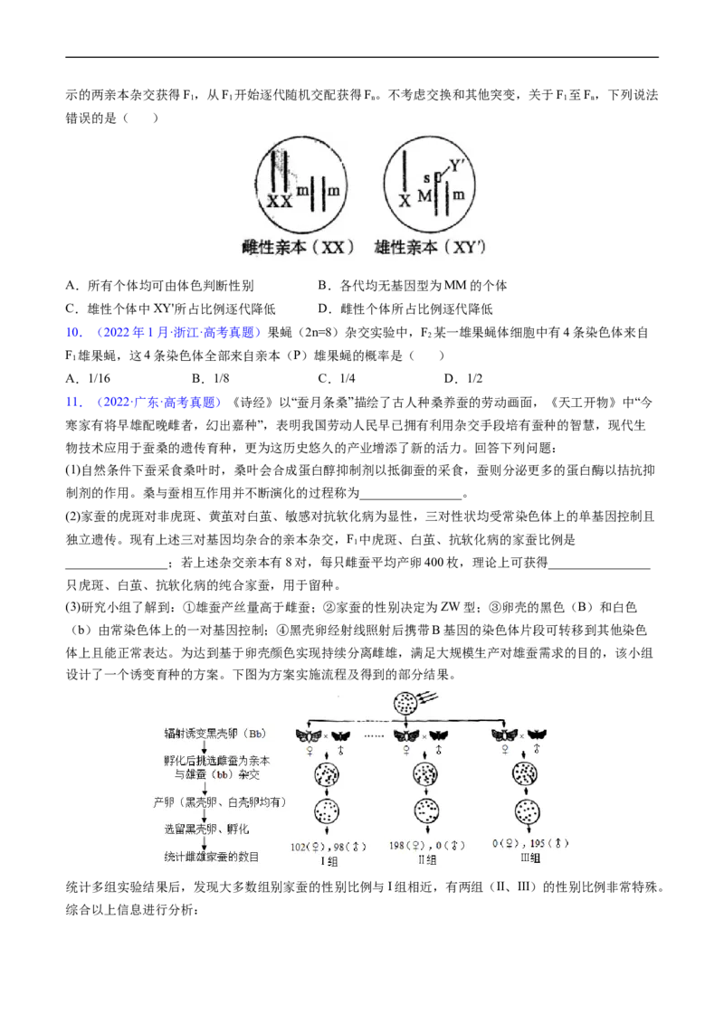 专题11伴性遗传和人类遗传病-五年（2019-2023）高考生物真题分项汇编（全国通用）（原卷版）_赠送：2008-2024全套高考真题_高考生物真题